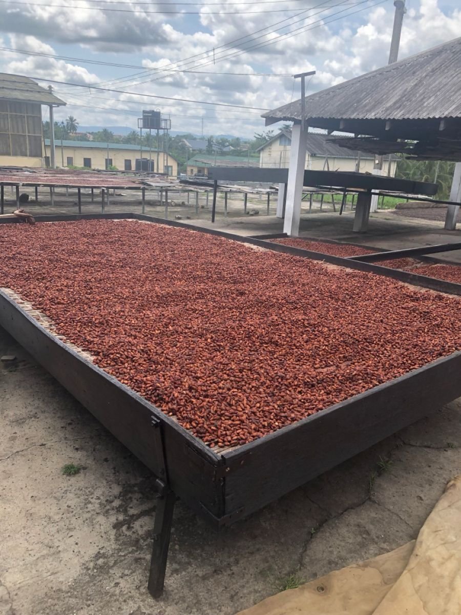 bulk grains in the market